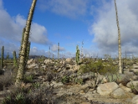 P1260853