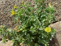 P1260859