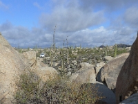 P1260872