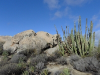 P1260877