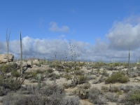 P1260880