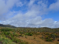 P1260890