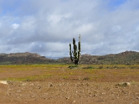 P1260891