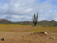 P1260892