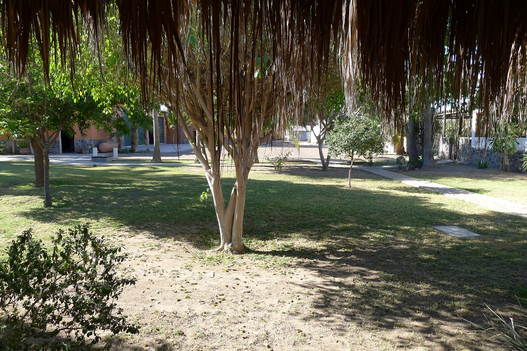 P1260794