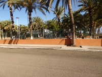P1010153.JPG