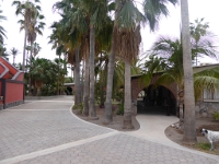 P1040321