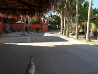 P1260749