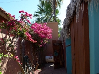 P1260801
