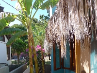 P1260802