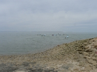 P1260566