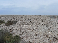 P1260568
