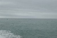 P1250230