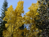 P1280916