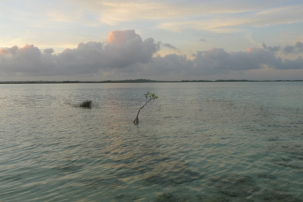 P1290424
