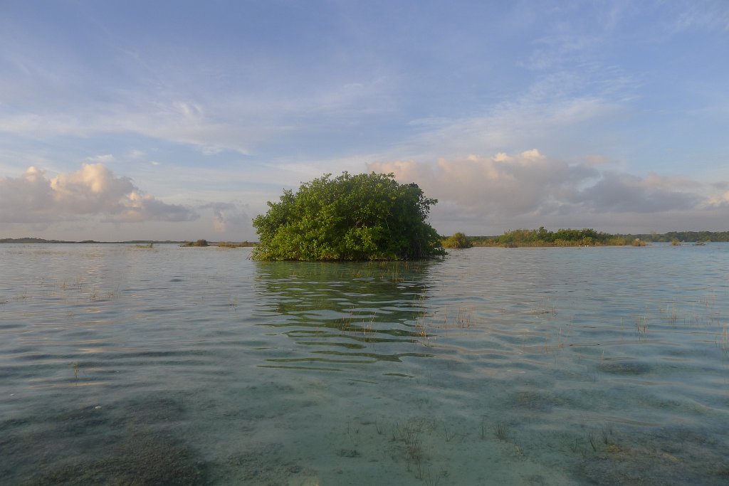 P1290439