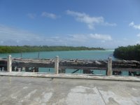 P1000347