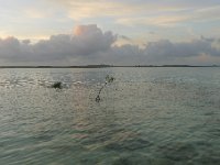 P1290424