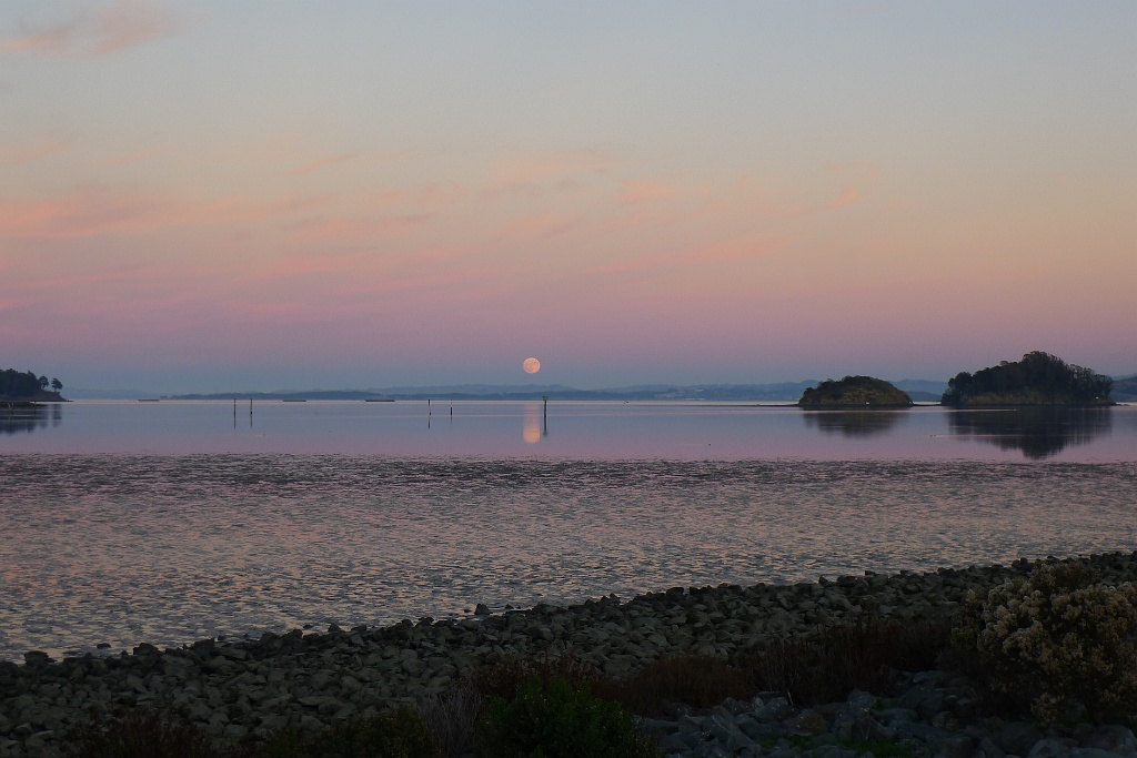 P1290169