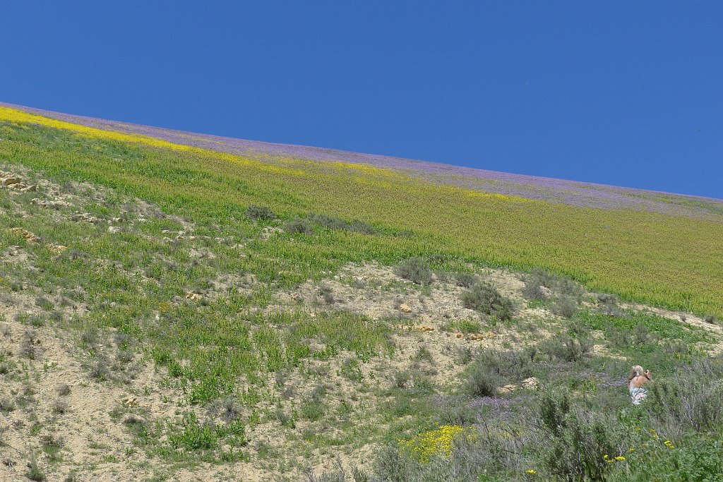 P1310698