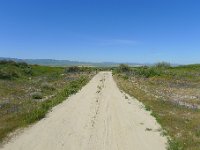 P1310613