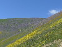 P1310741