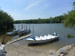 Take a Boat Into the Jungle
