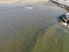 Drone Video Pavla Surfing