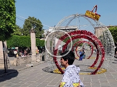 Morelia