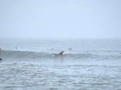 Surfing at Saladita